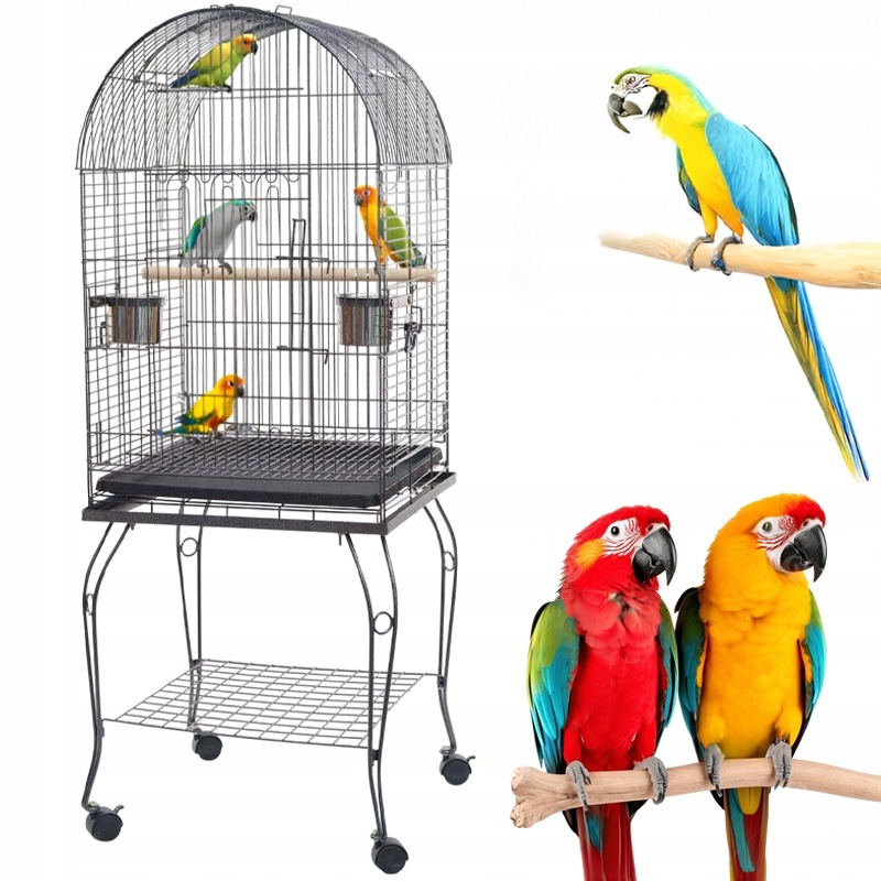 36f7e74e454ea8086950a908d1a8